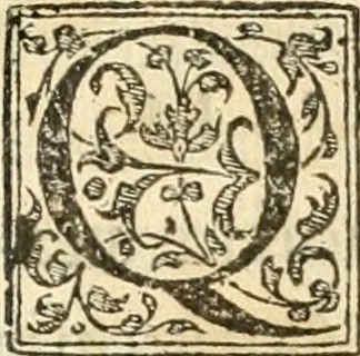 An illustration from Petri Gyllii De topographia Constantinopoleos, et de illivs antiqvitatibvs libri qvatvor, 1562, leaf 530