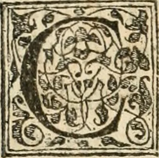 An illustration from Petri Gyllii De topographia Constantinopoleos, et de illivs antiqvitatibvs libri qvatvor, 1562, leaf 531