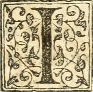 An illustration from Petri Gyllii De topographia Constantinopoleos, et de illivs antiqvitatibvs libri qvatvor, 1562, leaf 532