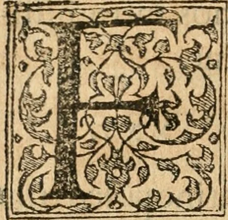 An illustration from Petri Gyllii De topographia Constantinopoleos, et de illivs antiqvitatibvs libri qvatvor, 1562, leaf 73