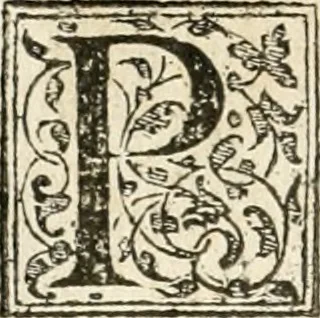 An illustration from Petri Gyllii De topographia Constantinopoleos, et de illivs antiqvitatibvs libri qvatvor, 1562, leaf 9