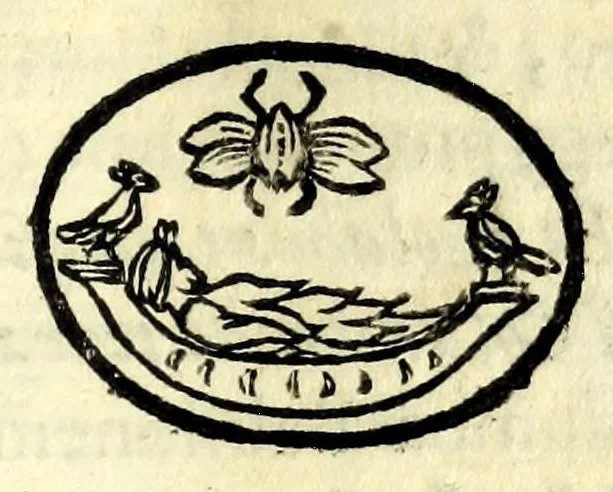 An illustration from Petri La Sena I.C. Neap. Cleombrotus, siue, De ijs, qui in aquis pereunt, philologica dissertatio, 1637, leaf 111