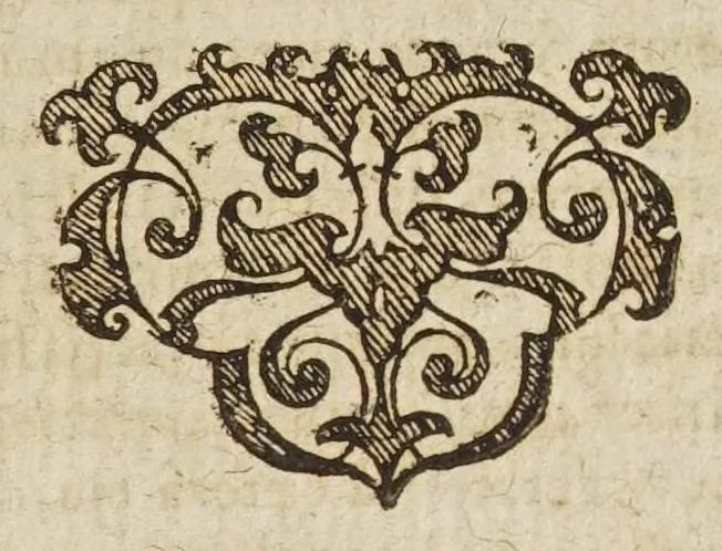 An illustration from Petri Laurembergii Rostochiensis Apparatus plantarius tributus in duos libros : I. De plantis bulbosis, II. De plantis tuberosis : quibus exhibentur praeter nomenclaturas, multiplices earum differentiae & species, vires, usus tam culinarius quam medicus : cultura sive ratio eas plantandi, conservandi, propagandi, itemque quae poetae, philologi, philosophi, sacrae litterae, &c. de iis memoratu digna annotarunt : adiunctae sunt plantarum quarundam novarum nova ichnographia, & descriptiones, 1654, leaf 127
