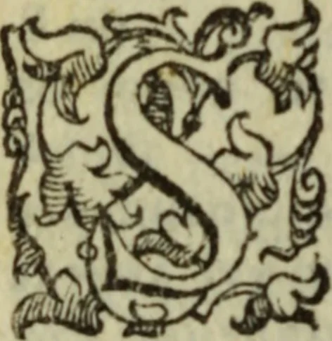 An illustration from Petri Lombardi Episcopi Parisiensis Sententiarum libri IIII, 1584, leaf 685