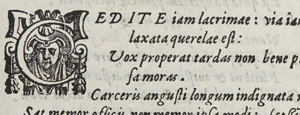 An illustration from Petri Magni Oratio in funere Alexandri Farnesii S.R.E. Cardinalis : in eumdem elegia Francisci Bencij e Societate Iesu, 1589, leaf 17