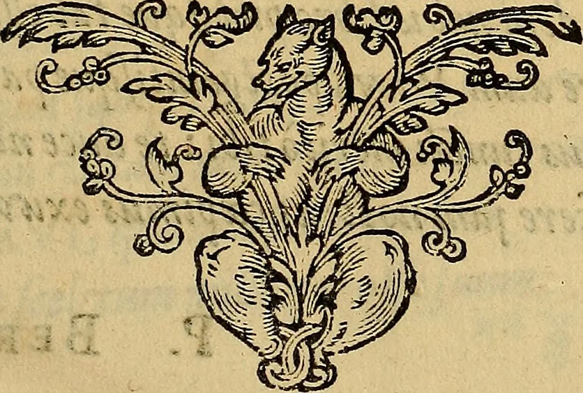 An illustration from Petri Paaw Amsteldamensis, in Academia Lugduno-Batava anatomici & botanici professoris Primitiae anatomicae : de humani corporis ossibus, 1615, leaf 10