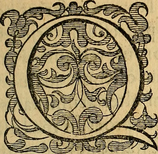 An illustration from Petri Paaw Amsteldamensis, in Academia Lugduno-Batava anatomici & botanici professoris Primitiae anatomicae : de humani corporis ossibus, 1615, leaf 102
