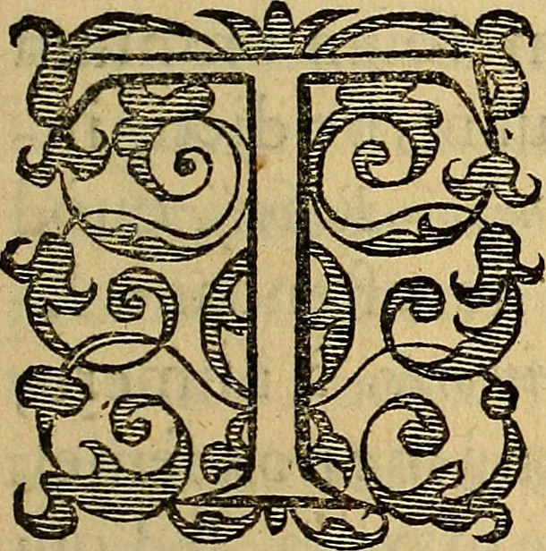 An illustration from Petri Paaw Amsteldamensis, in Academia Lugduno-Batava anatomici & botanici professoris Primitiae anatomicae : de humani corporis ossibus, 1615, leaf 104