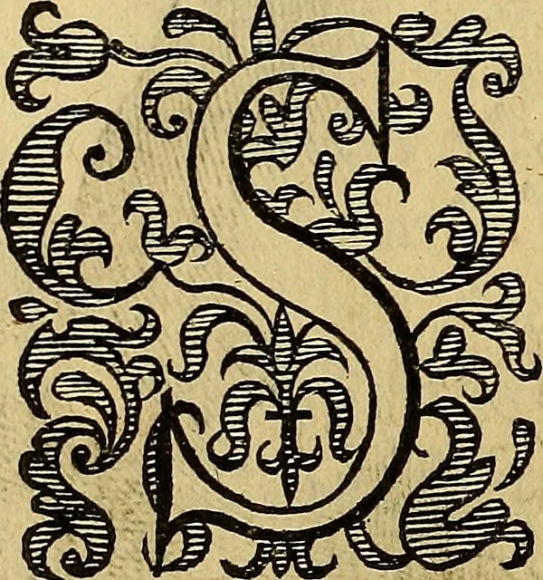 An illustration from Petri Paaw Amsteldamensis, in Academia Lugduno-Batava anatomici & botanici professoris Primitiae anatomicae : de humani corporis ossibus, 1615, leaf 115
