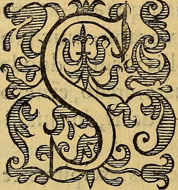 An illustration from Petri Paaw Amsteldamensis, in Academia Lugduno-Batava anatomici & botanici professoris Primitiae anatomicae : de humani corporis ossibus, 1615, leaf 127