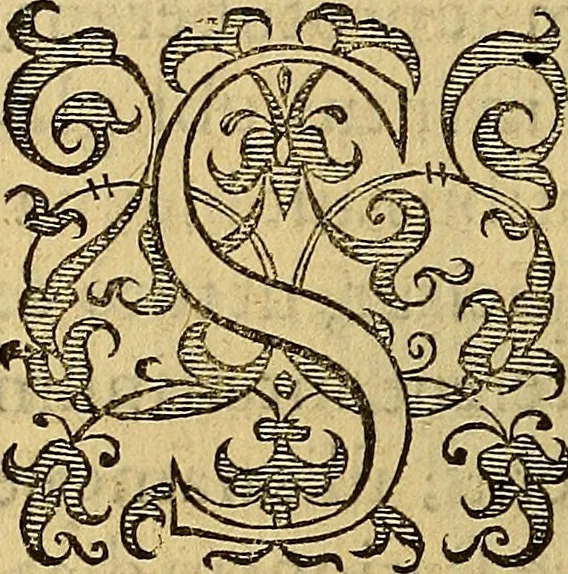 An illustration from Petri Paaw Amsteldamensis, in Academia Lugduno-Batava anatomici & botanici professoris Primitiae anatomicae : de humani corporis ossibus, 1615, leaf 131