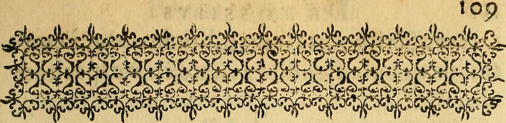 An illustration from Petri Paaw Amsteldamensis, in Academia Lugduno-Batava anatomici & botanici professoris Primitiae anatomicae : de humani corporis ossibus, 1615, leaf 136