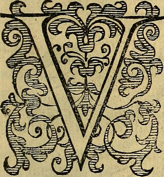 An illustration from Petri Paaw Amsteldamensis, in Academia Lugduno-Batava anatomici & botanici professoris Primitiae anatomicae : de humani corporis ossibus, 1615, leaf 136