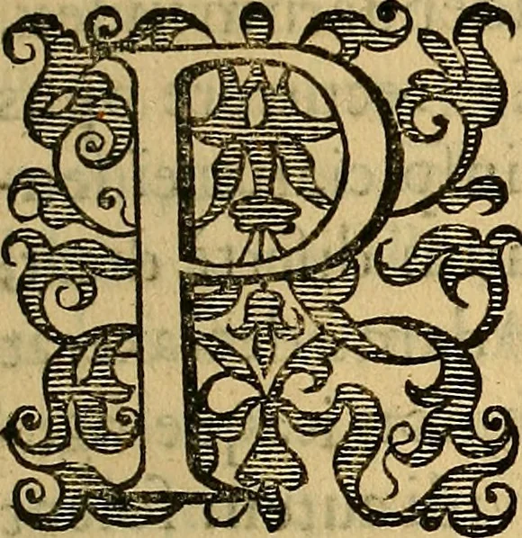 An illustration from Petri Paaw Amsteldamensis, in Academia Lugduno-Batava anatomici & botanici professoris Primitiae anatomicae : de humani corporis ossibus, 1615, leaf 142