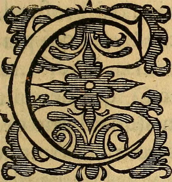 An illustration from Petri Paaw Amsteldamensis, in Academia Lugduno-Batava anatomici & botanici professoris Primitiae anatomicae : de humani corporis ossibus, 1615, leaf 152