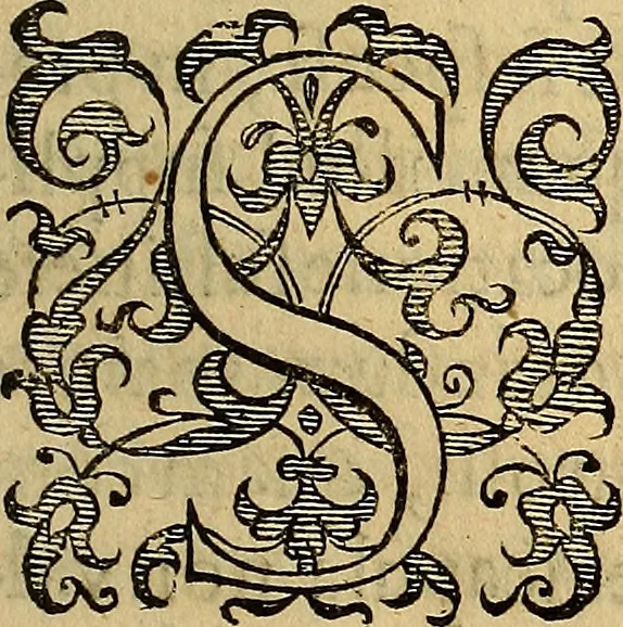 An illustration from Petri Paaw Amsteldamensis, in Academia Lugduno-Batava anatomici & botanici professoris Primitiae anatomicae : de humani corporis ossibus, 1615, leaf 160