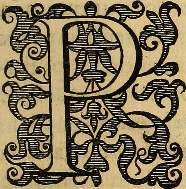 An illustration from Petri Paaw Amsteldamensis, in Academia Lugduno-Batava anatomici & botanici professoris Primitiae anatomicae : de humani corporis ossibus, 1615, leaf 166