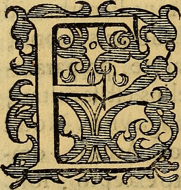 An illustration from Petri Paaw Amsteldamensis, in Academia Lugduno-Batava anatomici & botanici professoris Primitiae anatomicae : de humani corporis ossibus, 1615, leaf 169