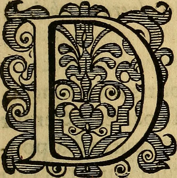 An illustration from Petri Paaw Amsteldamensis, in Academia Lugduno-Batava anatomici & botanici professoris Primitiae anatomicae : de humani corporis ossibus, 1615, leaf 174