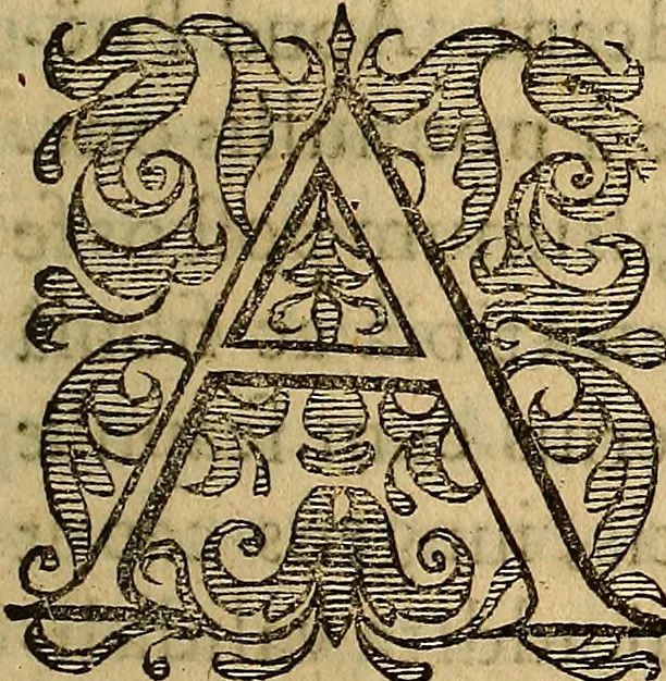 An illustration from Petri Paaw Amsteldamensis, in Academia Lugduno-Batava anatomici & botanici professoris Primitiae anatomicae : de humani corporis ossibus, 1615, leaf 176