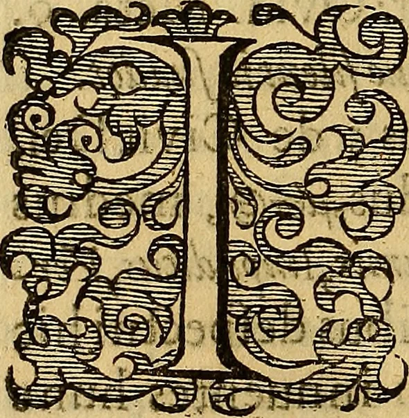 An illustration from Petri Paaw Amsteldamensis, in Academia Lugduno-Batava anatomici & botanici professoris Primitiae anatomicae : de humani corporis ossibus, 1615, leaf 189