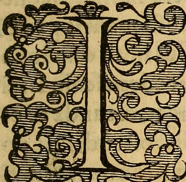 An illustration from Petri Paaw Amsteldamensis, in Academia Lugduno-Batava anatomici & botanici professoris Primitiae anatomicae : de humani corporis ossibus, 1615, leaf 196