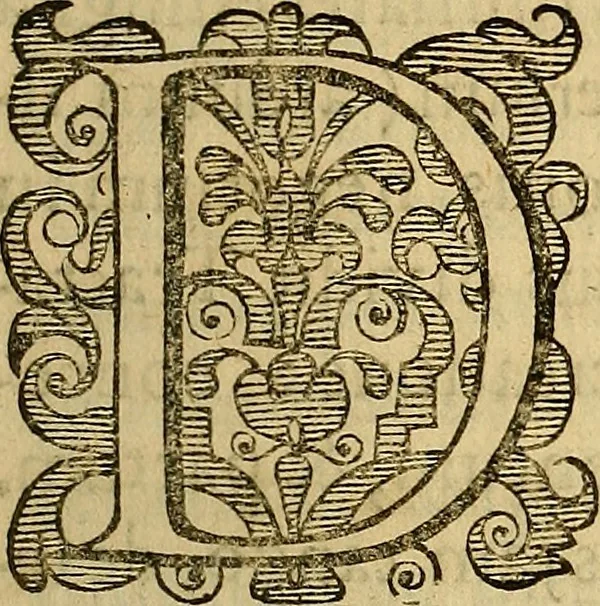 An illustration from Petri Paaw Amsteldamensis, in Academia Lugduno-Batava anatomici & botanici professoris Primitiae anatomicae : de humani corporis ossibus, 1615, leaf 20