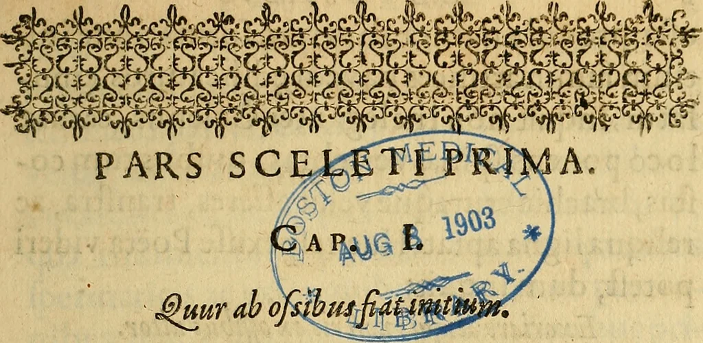An illustration from Petri Paaw Amsteldamensis, in Academia Lugduno-Batava anatomici & botanici professoris Primitiae anatomicae : de humani corporis ossibus, 1615, leaf 20
