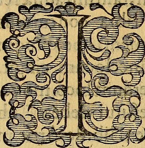 An illustration from Petri Paaw Amsteldamensis, in Academia Lugduno-Batava anatomici & botanici professoris Primitiae anatomicae : de humani corporis ossibus, 1615, leaf 205