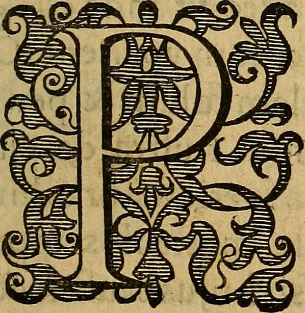 An illustration from Petri Paaw Amsteldamensis, in Academia Lugduno-Batava anatomici & botanici professoris Primitiae anatomicae : de humani corporis ossibus, 1615, leaf 208