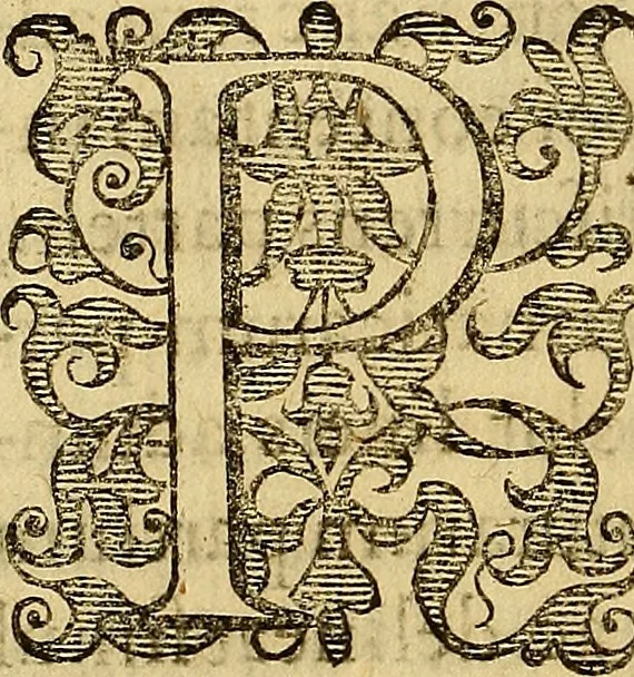 An illustration from Petri Paaw Amsteldamensis, in Academia Lugduno-Batava anatomici & botanici professoris Primitiae anatomicae : de humani corporis ossibus, 1615, leaf 23