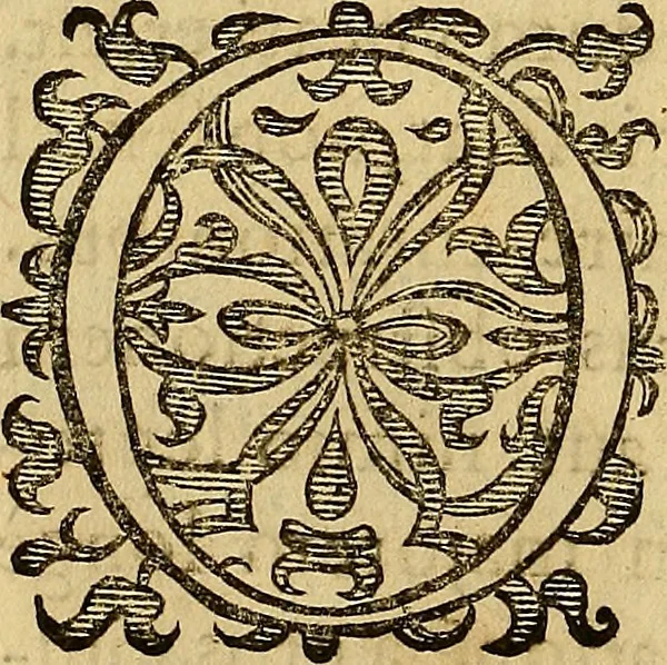 An illustration from Petri Paaw Amsteldamensis, in Academia Lugduno-Batava anatomici & botanici professoris Primitiae anatomicae : de humani corporis ossibus, 1615, leaf 27