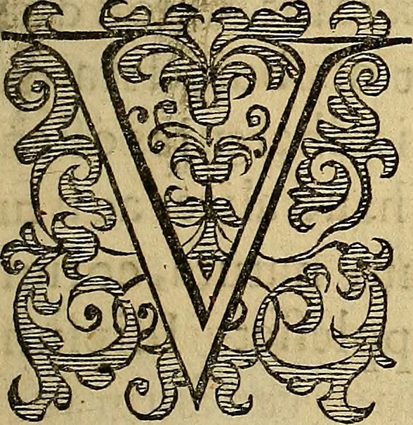 An illustration from Petri Paaw Amsteldamensis, in Academia Lugduno-Batava anatomici & botanici professoris Primitiae anatomicae : de humani corporis ossibus, 1615, leaf 34