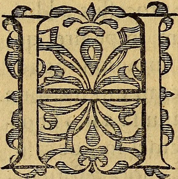 An illustration from Petri Paaw Amsteldamensis, in Academia Lugduno-Batava anatomici & botanici professoris Primitiae anatomicae : de humani corporis ossibus, 1615, leaf 41