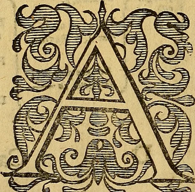 An illustration from Petri Paaw Amsteldamensis, in Academia Lugduno-Batava anatomici & botanici professoris Primitiae anatomicae : de humani corporis ossibus, 1615, leaf 47
