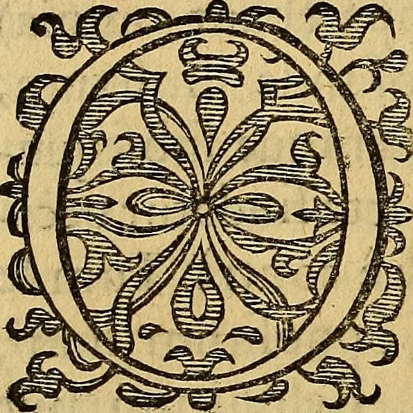 An illustration from Petri Paaw Amsteldamensis, in Academia Lugduno-Batava anatomici & botanici professoris Primitiae anatomicae : de humani corporis ossibus, 1615, leaf 59