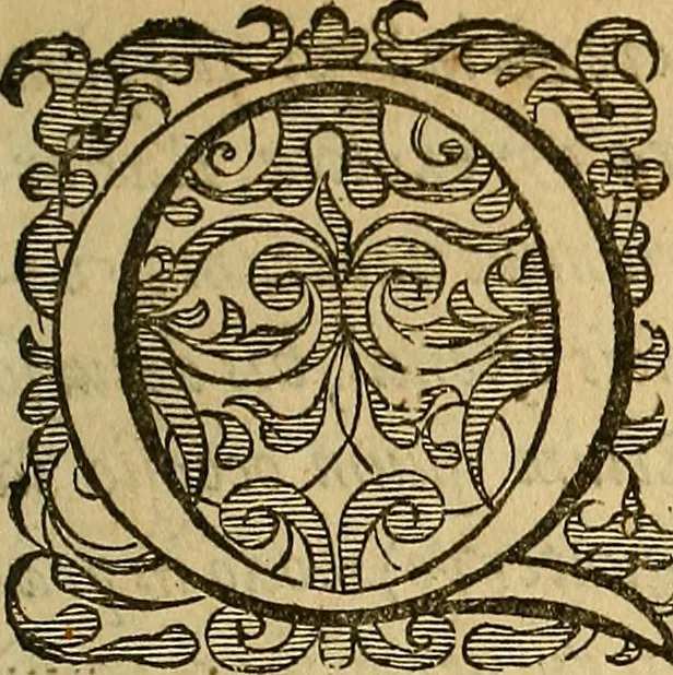 An illustration from Petri Paaw Amsteldamensis, in Academia Lugduno-Batava anatomici & botanici professoris Primitiae anatomicae : de humani corporis ossibus, 1615, leaf 6