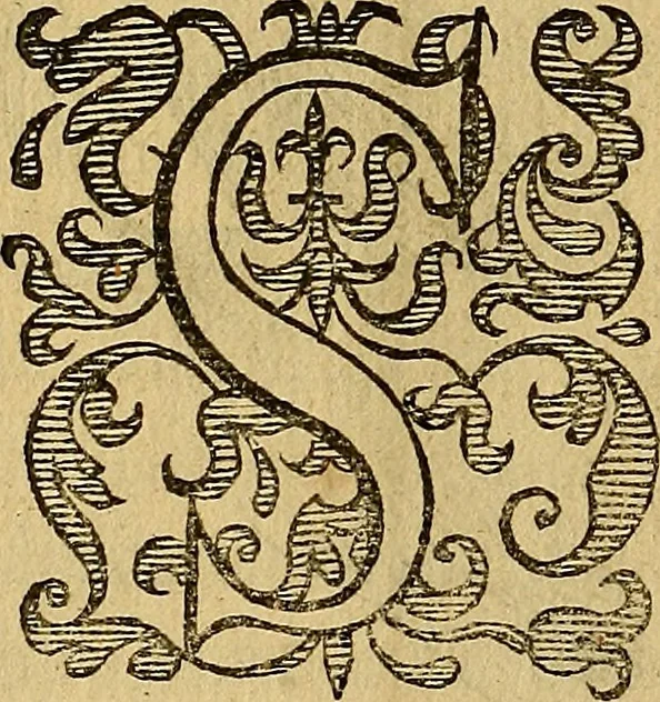 An illustration from Petri Paaw Amsteldamensis, in Academia Lugduno-Batava anatomici & botanici professoris Primitiae anatomicae : de humani corporis ossibus, 1615, leaf 73