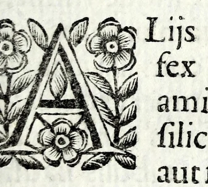 An illustration from Petri Pauli Boschae bibliothecarii, ex sodalitio Sacerdotum Oblatorum, De origine et statu bibliothecae Ambrosianae hemidecas, 1672, leaf 109