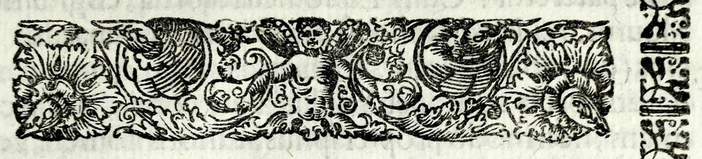 An illustration from Petri Pauli Boschae bibliothecarii, ex sodalitio Sacerdotum Oblatorum, De origine et statu bibliothecae Ambrosianae hemidecas, 1672, leaf 141