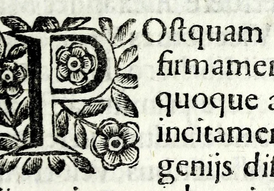 An illustration from Petri Pauli Boschae bibliothecarii, ex sodalitio Sacerdotum Oblatorum, De origine et statu bibliothecae Ambrosianae hemidecas, 1672, leaf 141
