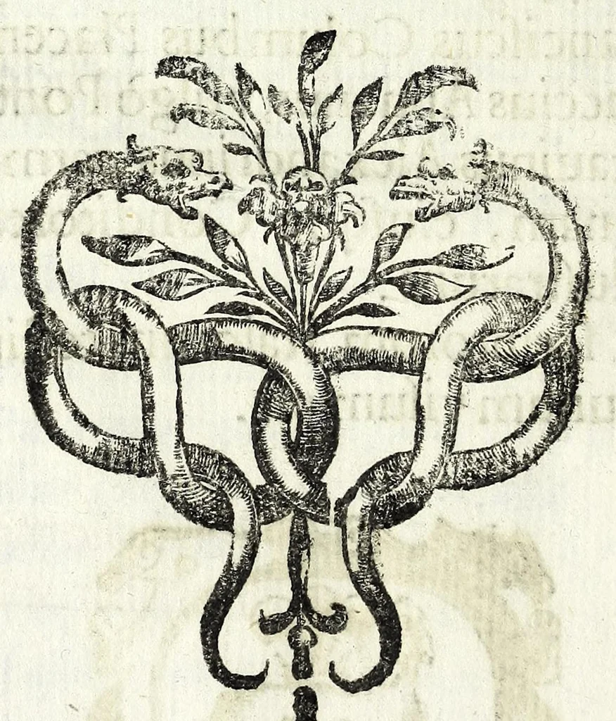 An illustration from Petri Pauli Boschae bibliothecarii, ex sodalitio Sacerdotum Oblatorum, De origine et statu bibliothecae Ambrosianae hemidecas, 1672, leaf 22