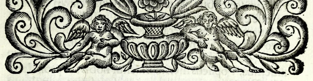 An illustration from Petri Pauli Boschae bibliothecarii, ex sodalitio Sacerdotum Oblatorum, De origine et statu bibliothecae Ambrosianae hemidecas, 1672, leaf 31