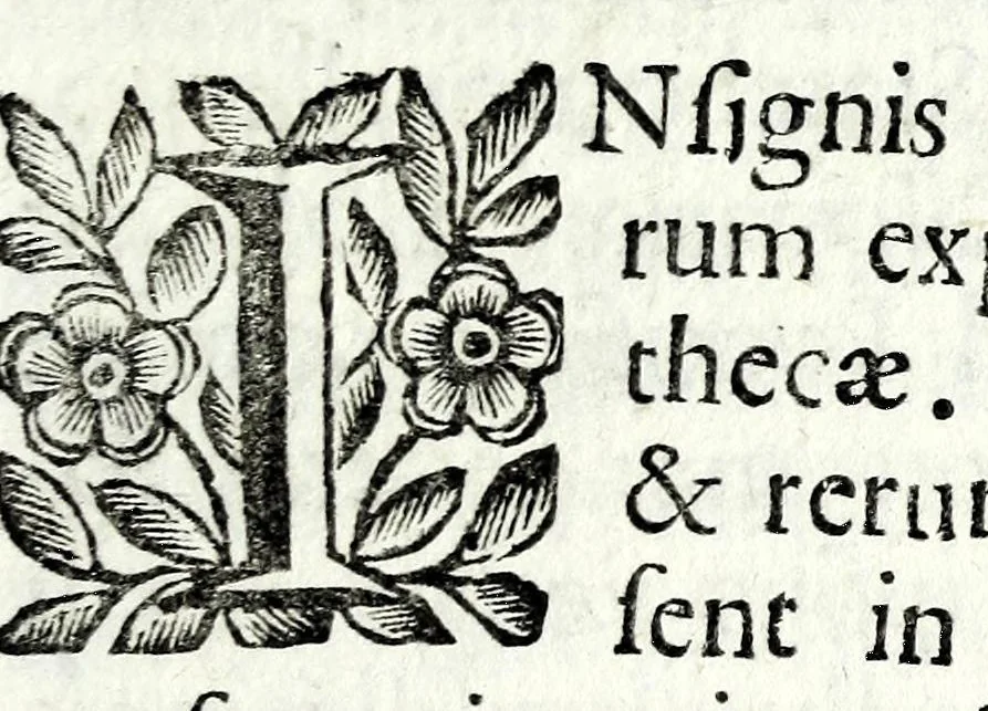 An illustration from Petri Pauli Boschae bibliothecarii, ex sodalitio Sacerdotum Oblatorum, De origine et statu bibliothecae Ambrosianae hemidecas, 1672, leaf 69