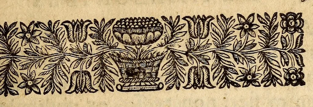 An illustration from Petri Petiti, philosophi, & Doct. medici De Amazonibus dissertatio, : quâ an verè extiterint, necne, variis ultro citroque conjecturis & argumentis disputatur. Multa etiam ad eam gentem pertinentia, ex antiquis monumentis eruuntur atque illustrantur, 1685, leaf 19