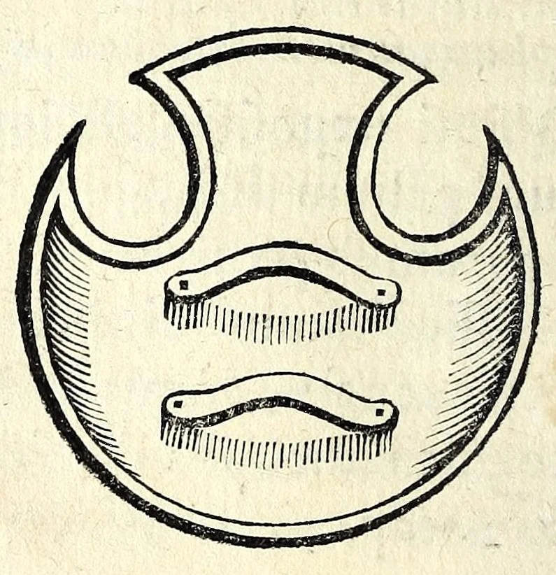 An illustration from Petri Petiti, philosophi & doct. medici, De Amazonibus dissertatio, quâ an verè extiterint, necne, variis ultro citroque conjecturis & argumentis disputatur. Multa etiam ad eam gentem pertinentia, ex antiquis monumentis eruuntur atque illustrantur, 1685, leaf 190