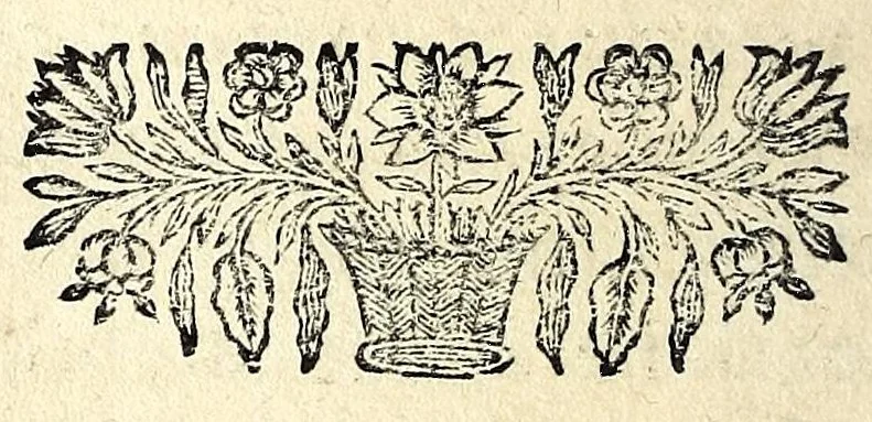 An illustration from Petri Petiti, philosophi & doct. medici, De Amazonibus dissertatio, quâ an verè extiterint, necne, variis ultro citroque conjecturis & argumentis disputatur. Multa etiam ad eam gentem pertinentia, ex antiquis monumentis eruuntur atque illustrantur, 1685, leaf 388