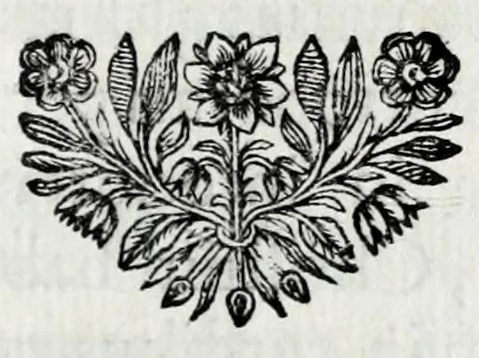 An illustration from Petri Pithoei Comes theologus, sive, Spicilegium ex sacra messe, 1696, leaf 223