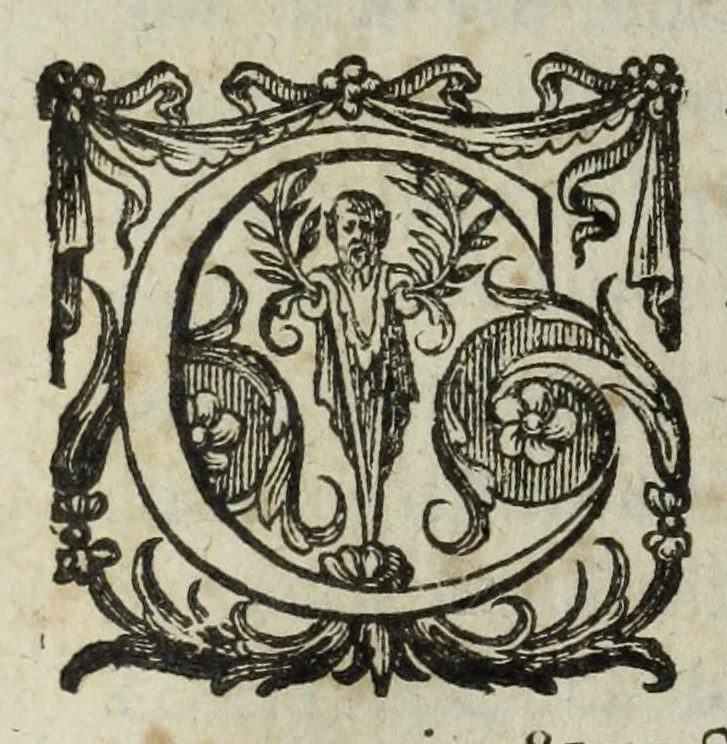 An illustration from Petri Pithoei Opera, sacra, iuridica, historica, miscellanea, 1609, leaf 706