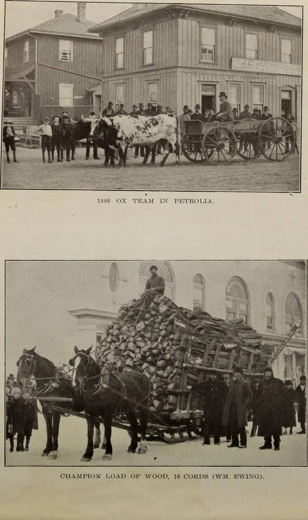An illustration from Petrolia, Canada, 1862-1908 : its advantages as a commercial and residential centre, 1908, leaf 39